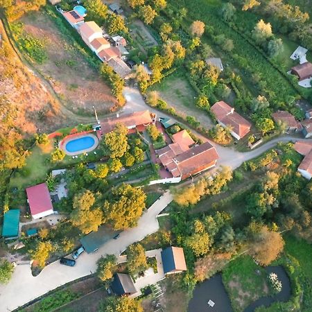 Casa Da Avo - Vale Da Silva Villas Albergaria-a-Velha Kültér fotó