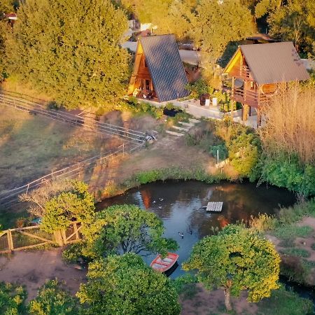 Casa Da Avo - Vale Da Silva Villas Albergaria-a-Velha Kültér fotó