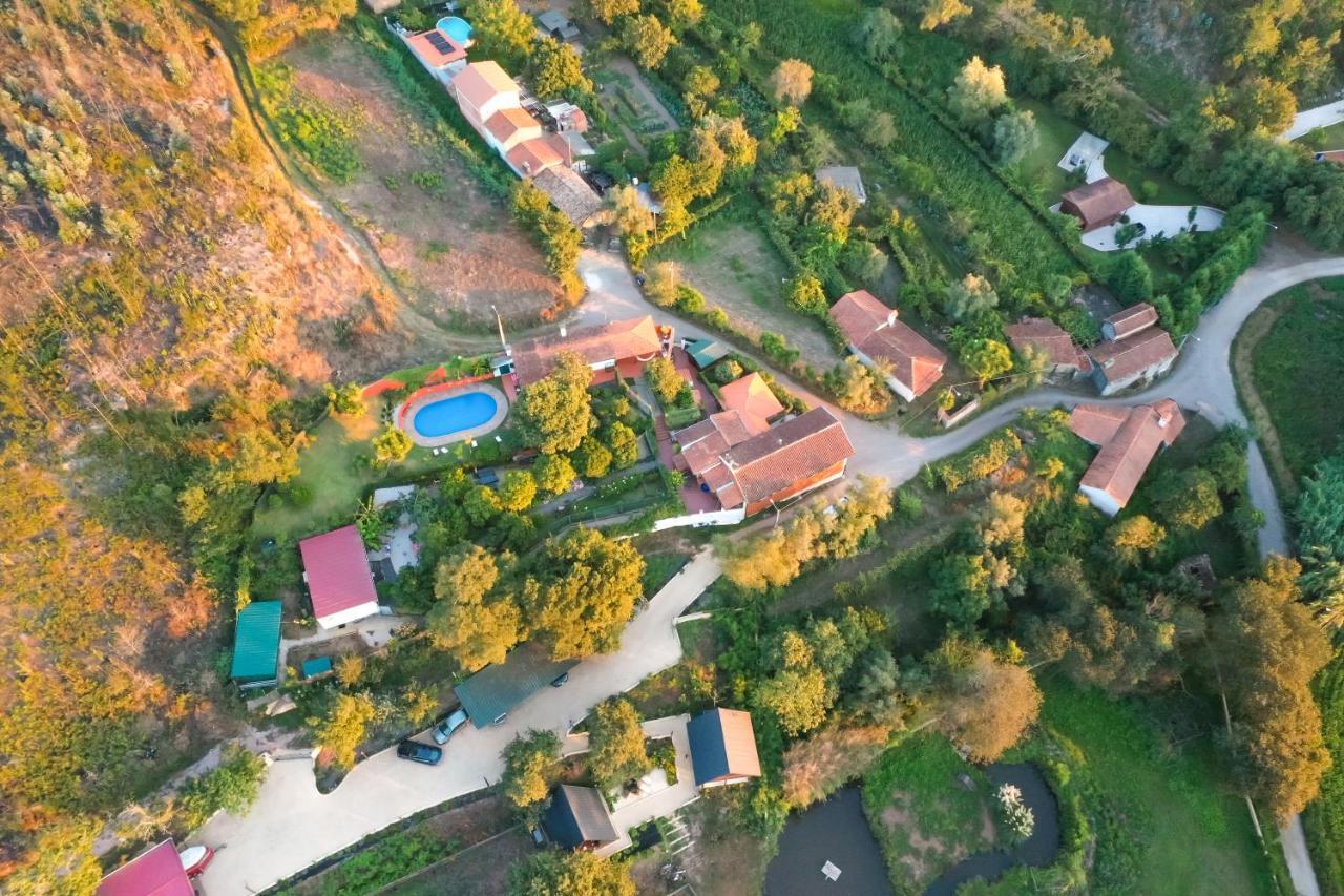 Casa Da Avo - Vale Da Silva Villas Albergaria-a-Velha Kültér fotó