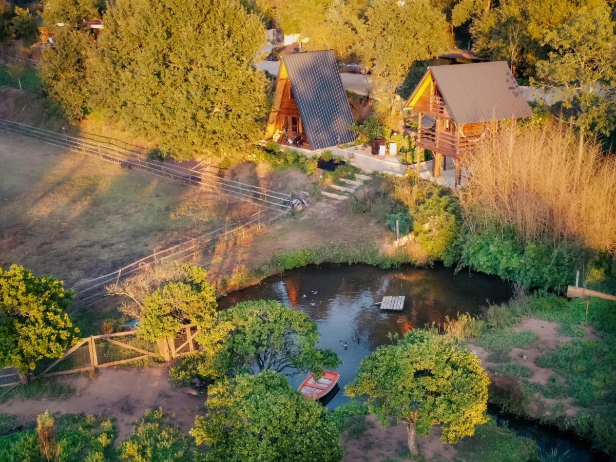 Casa Da Avo - Vale Da Silva Villas Albergaria-a-Velha Kültér fotó
