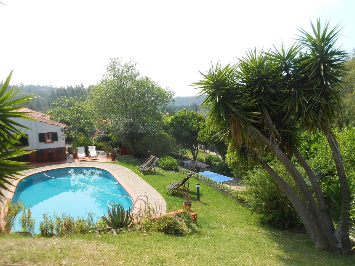 Casa Da Avo - Vale Da Silva Villas Albergaria-a-Velha Kültér fotó