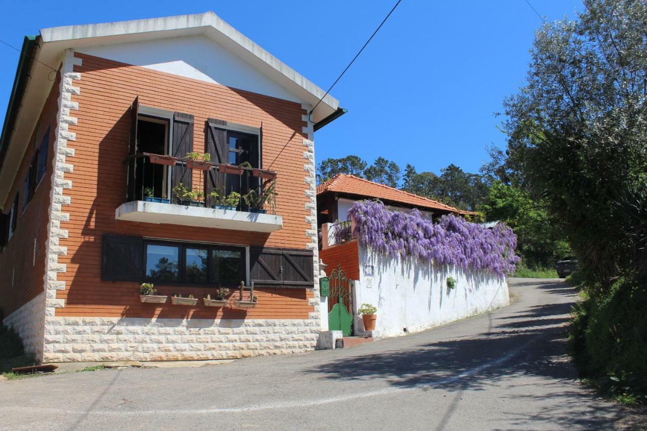 Casa Da Avo - Vale Da Silva Villas Albergaria-a-Velha Kültér fotó